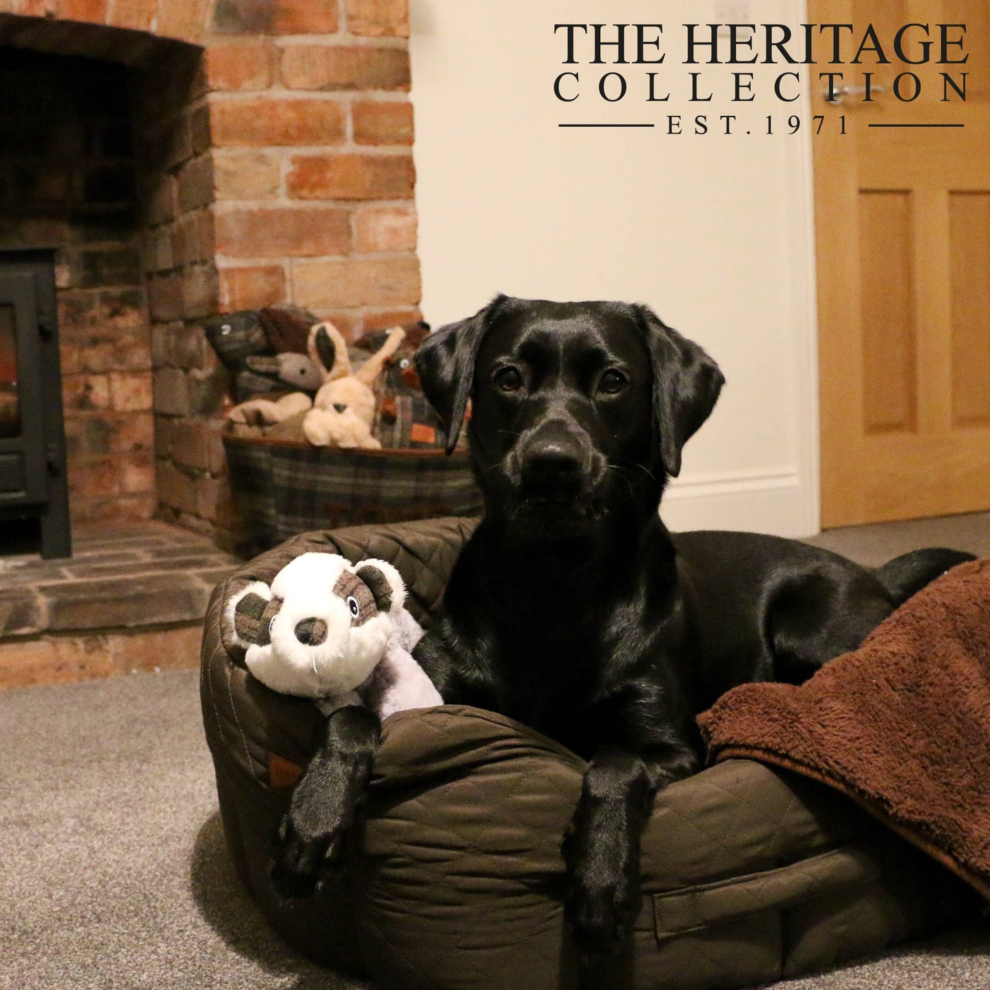 Ancol Tartan Badger Dog Toy