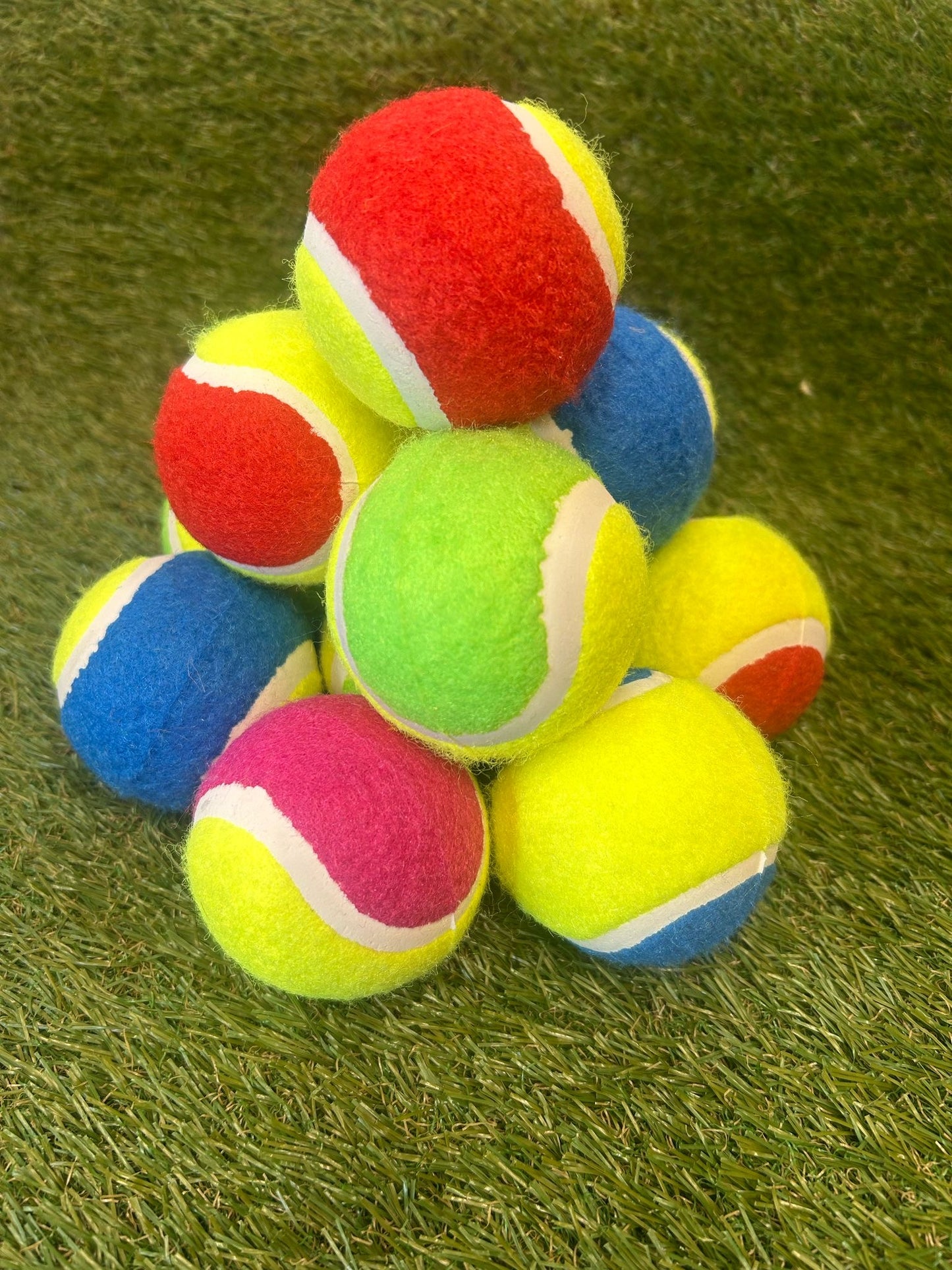 Tennis Ball Dog Toy