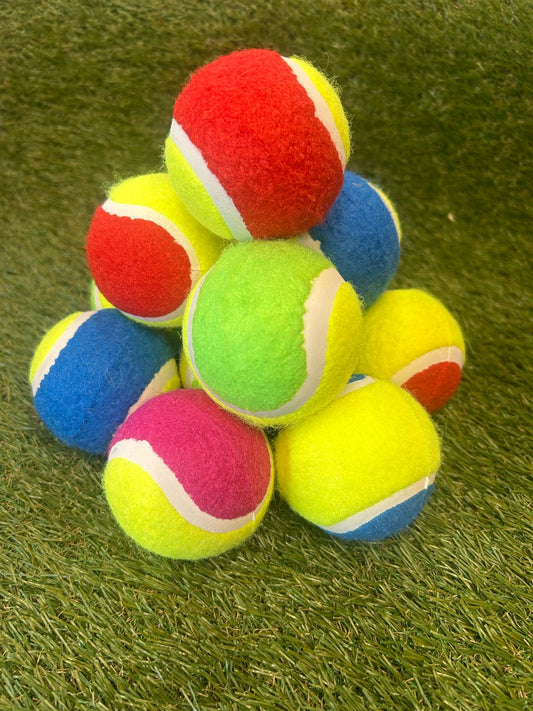 Tennis Ball Dog Toy