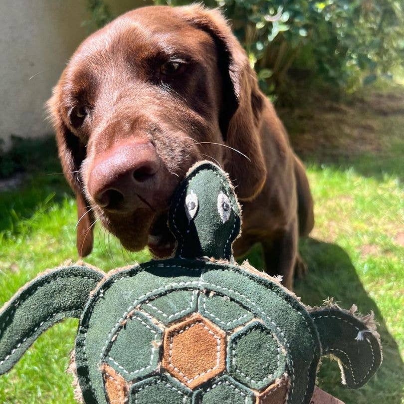 Mira & Makauri Tara Turtle- Eco Leather Dog Toy