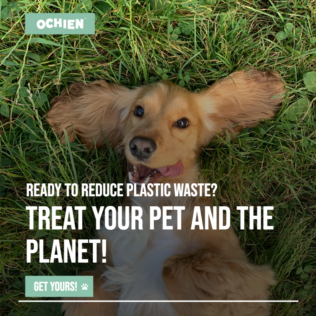 Ochien Recycled Ocean Plastic Pet Bowl