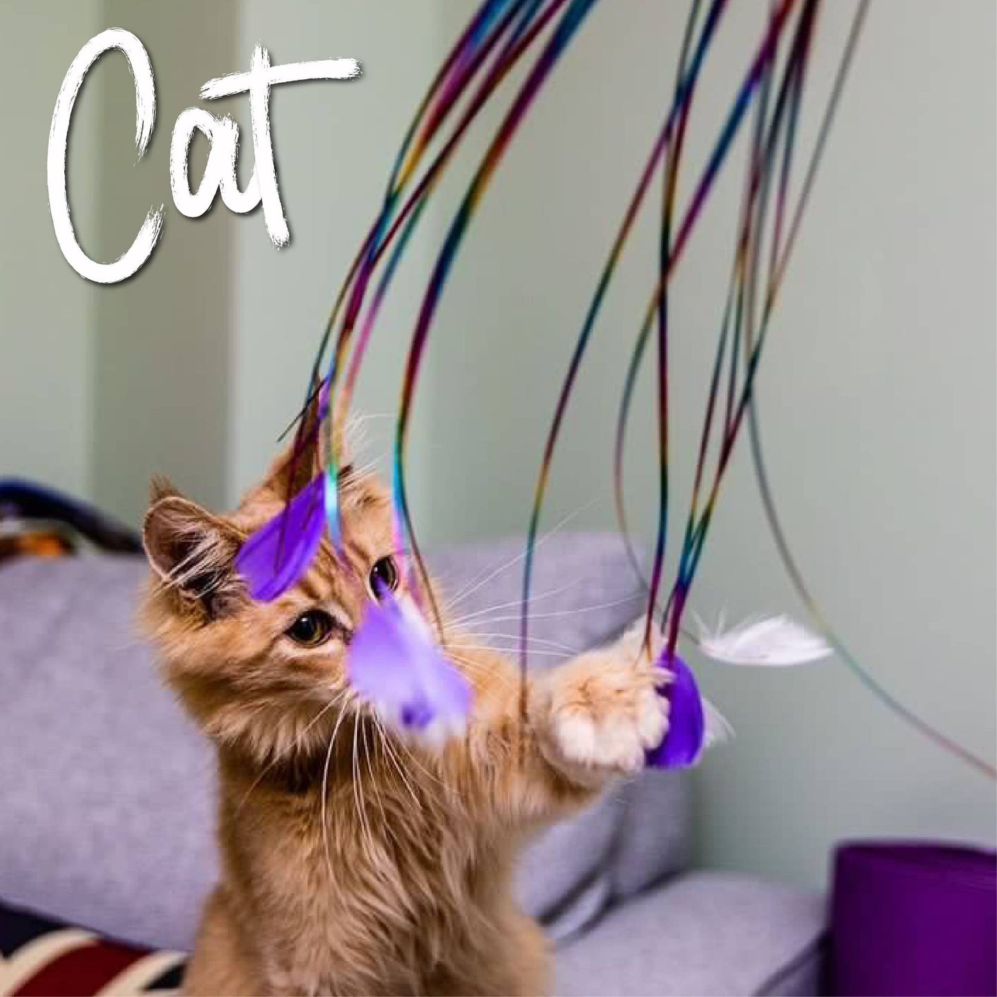 Ancol Rainbow Feather Cat Dangler Toy