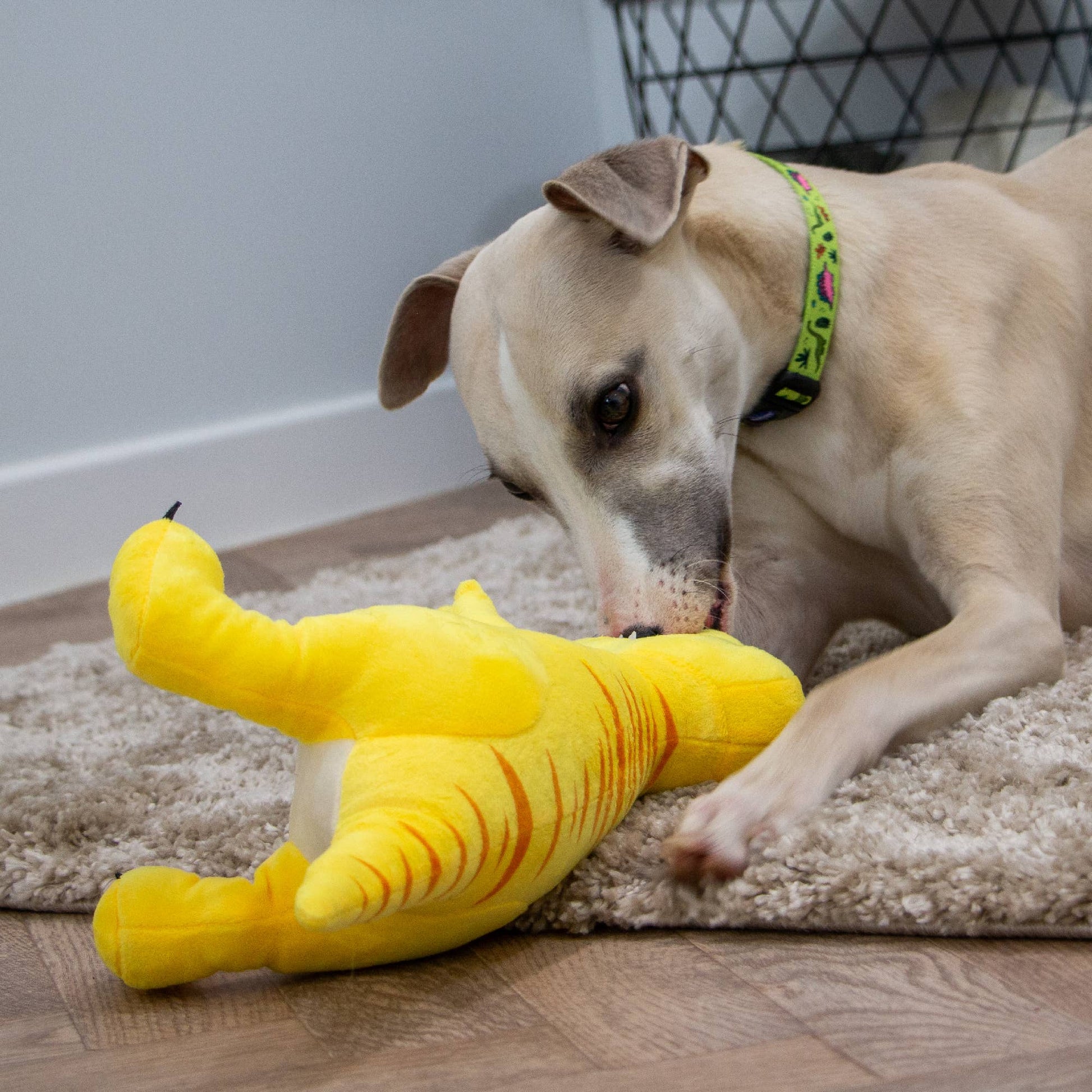 Ancol T Rex Dog Toy With Dog