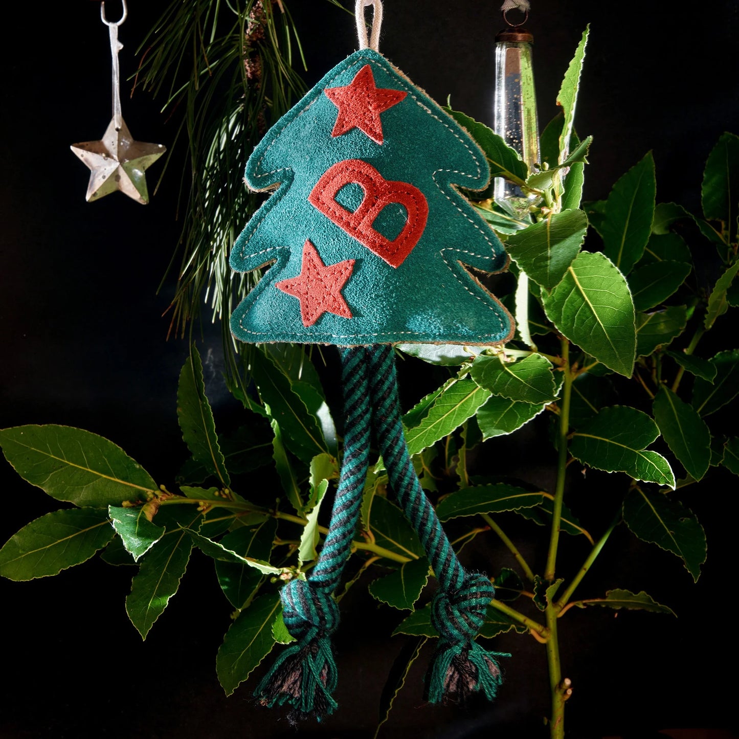 Decorative Christmas tree doig toy with 'B' and stars on a green rope, hanging among green leaves.