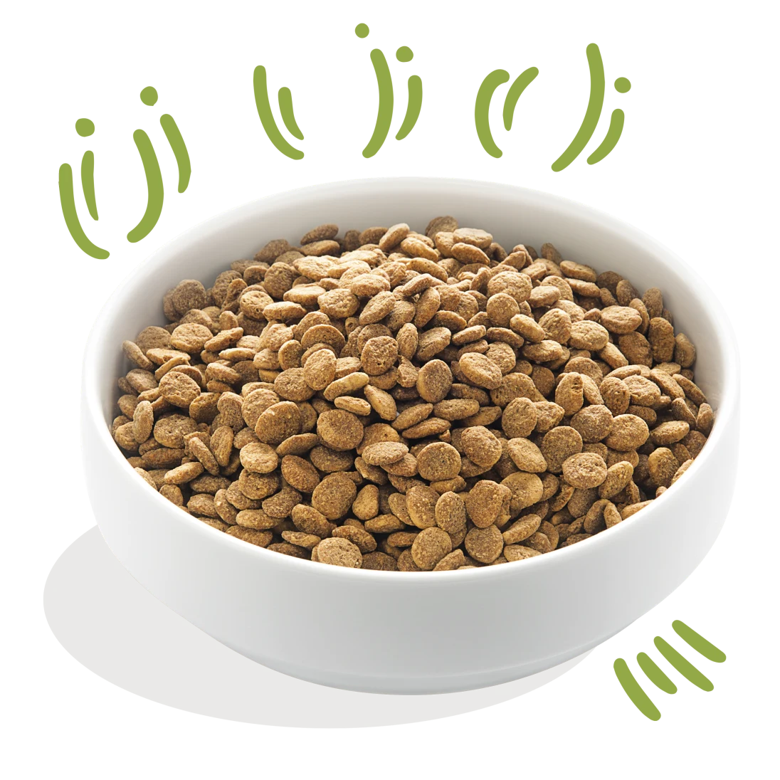 Edgard & Cooper healthy lamb kibble for dogs