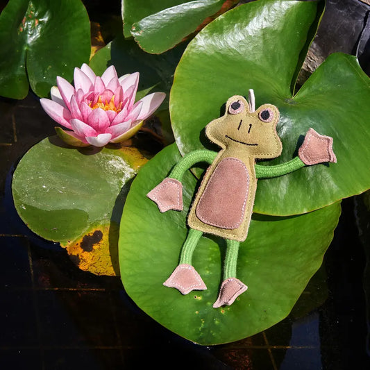 Green & Wilds Francois Le Frog Eco Friendly Dog Toy