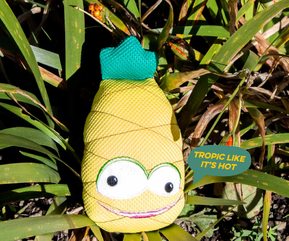 penny the pineable dog toy in a pineapple plant