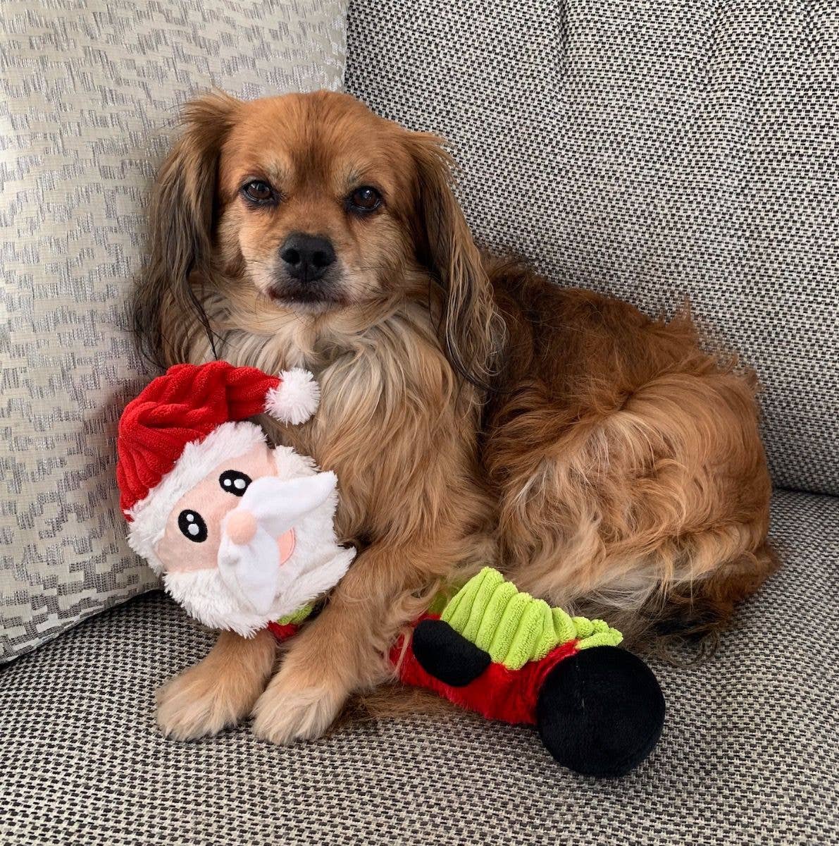 Pet London Bungee Santa Christmas Tug Dog Toy