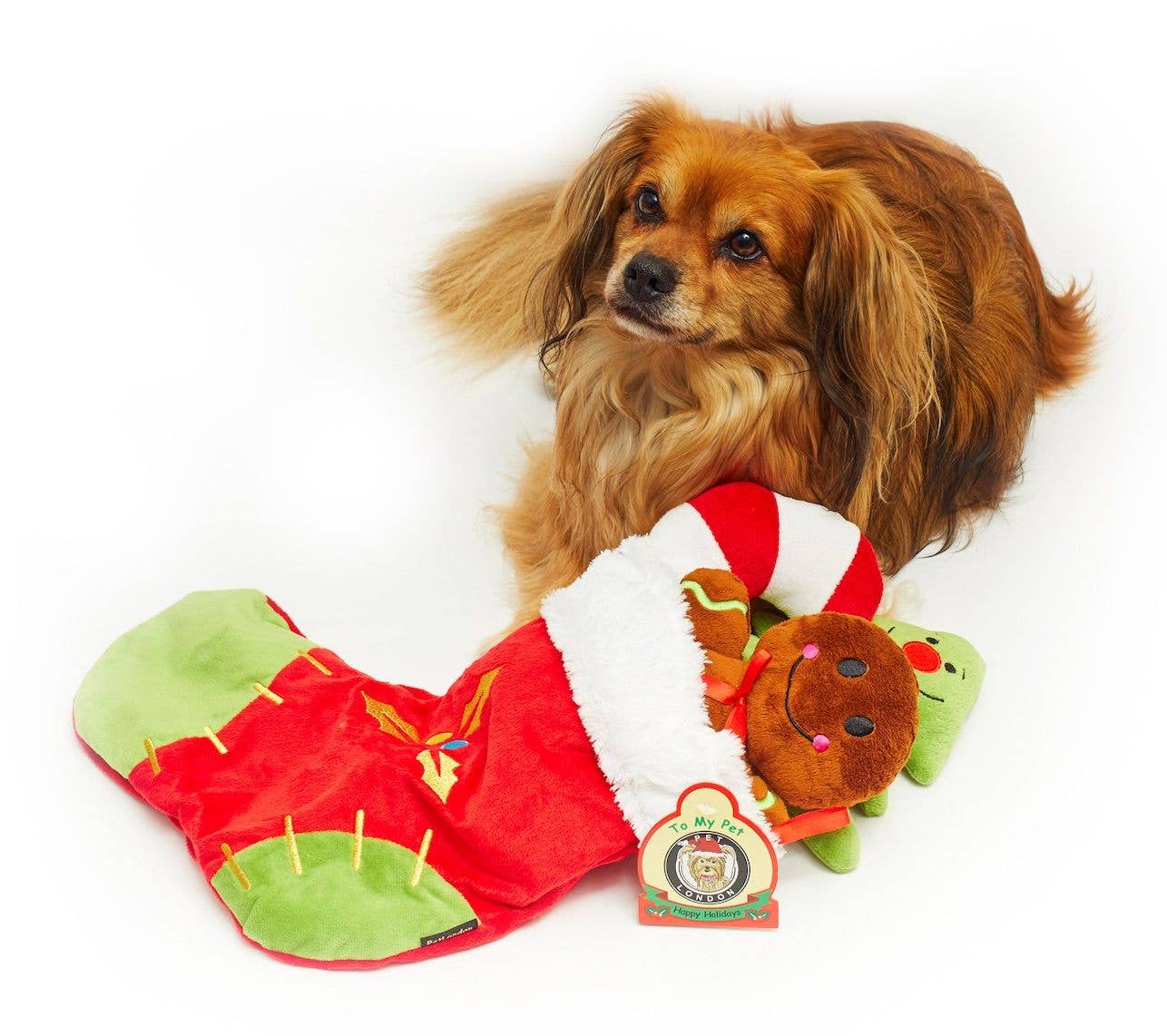 Pet London Christmas Crinkle Dog Stocking 4-Piece Gift Set
