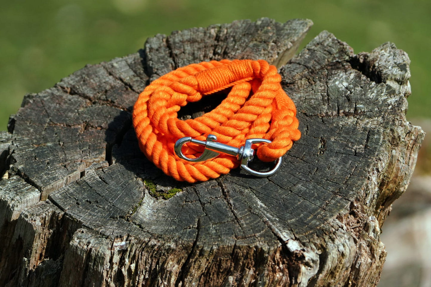Cotton rope dog lead