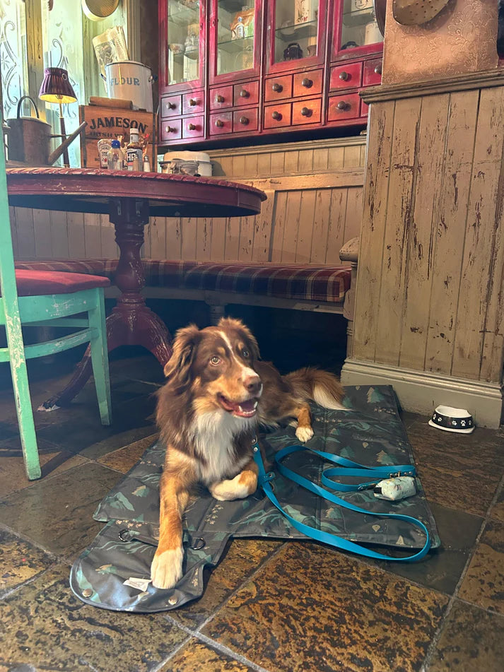 Dog sitting on UK made settle mat