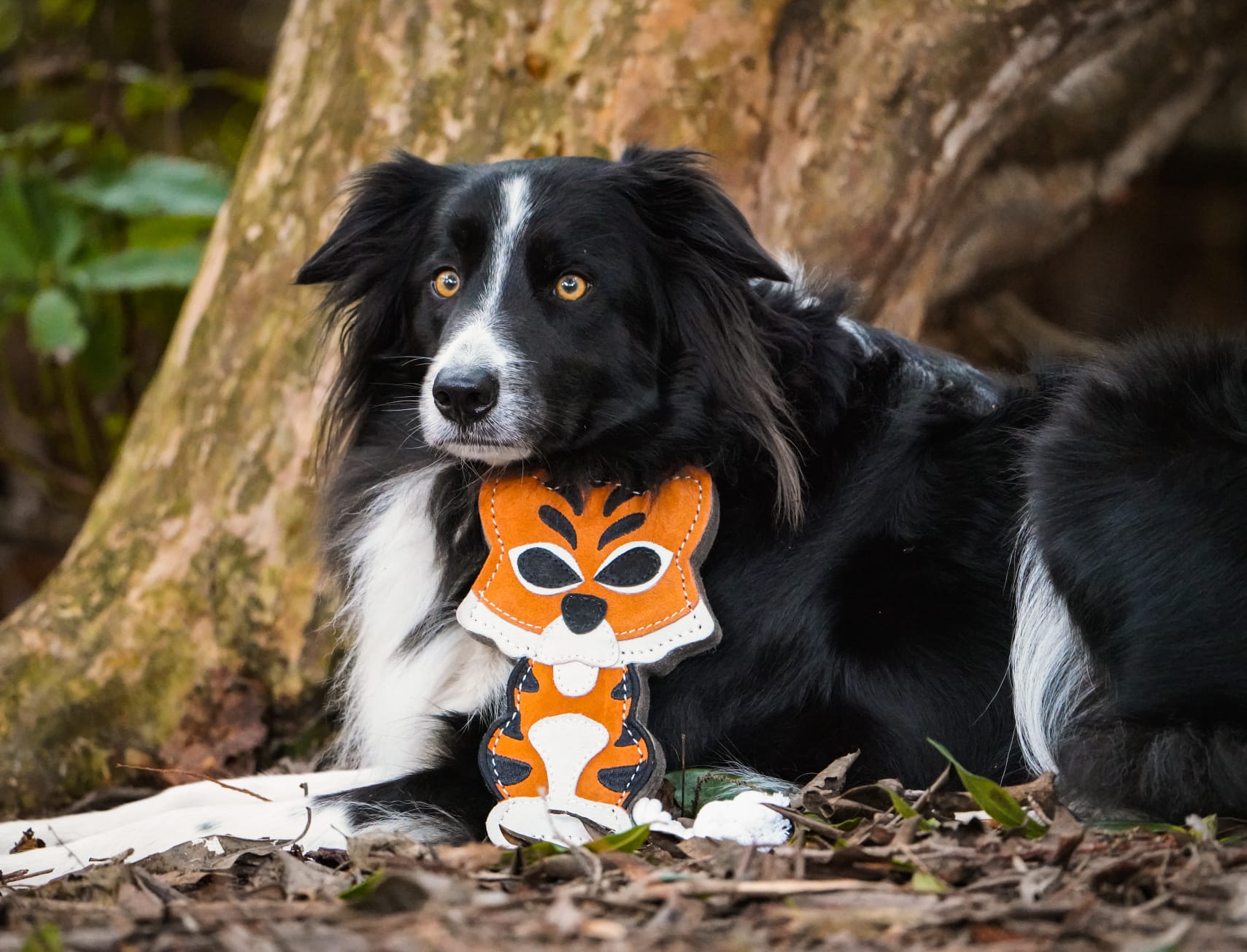 Aurora Paws Tina The Tiger eco dog toy