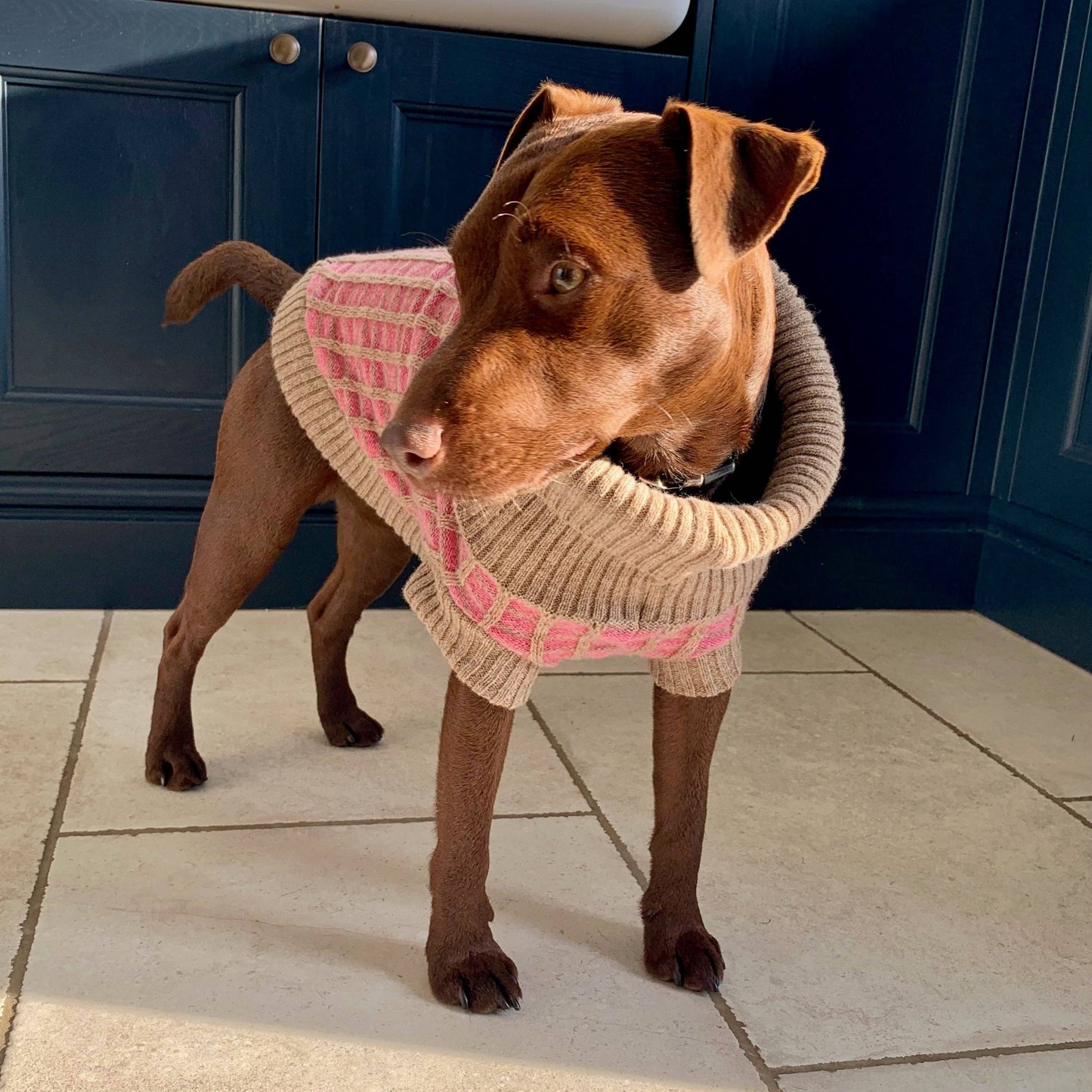 Wag & Wool Pink Paddy Dog Jumper