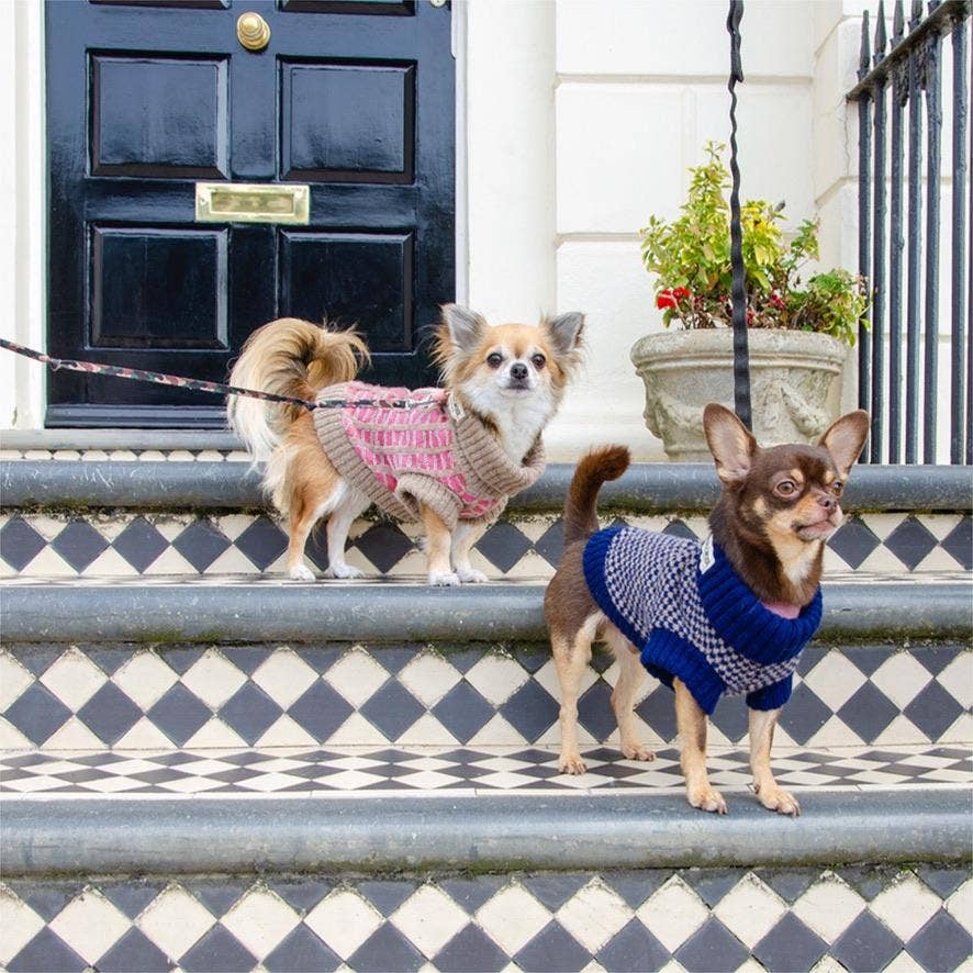 Wag & Wool Paddy Dog Jumper- 100% Hinchcliffe lambswool Made in Britain