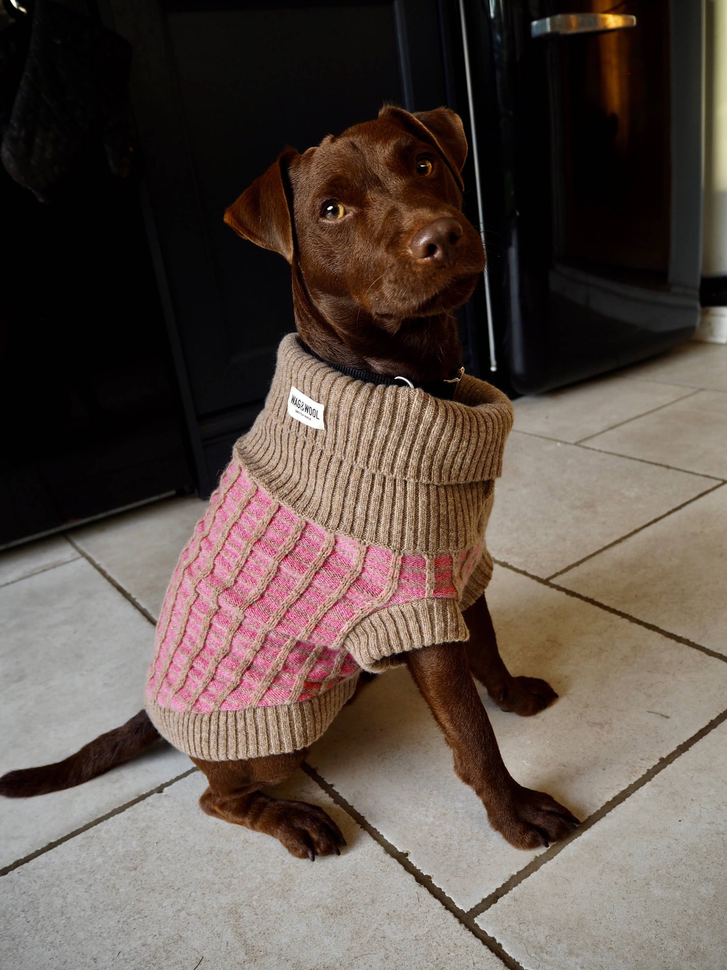 Wag & Wool Paddy Dog Jumper- 100% Hinchcliffe lambswool Made in Britain