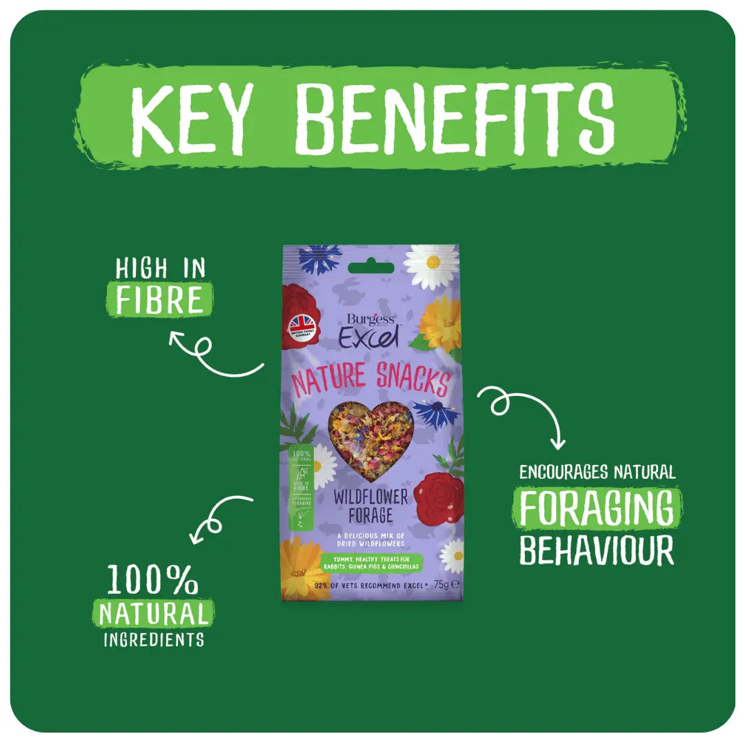 Wildflower mix key benefits