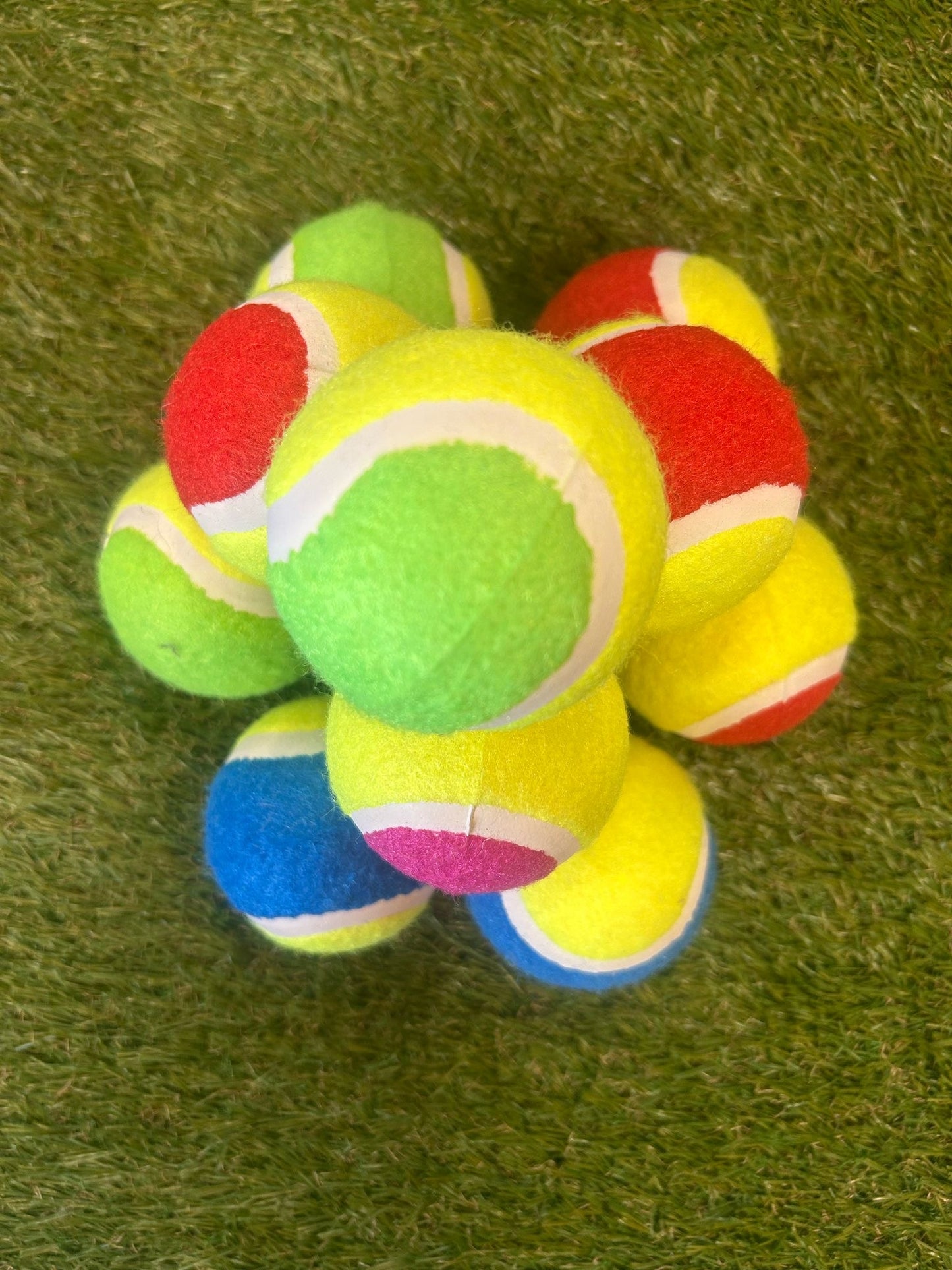 Tennis Ball Dog Toy