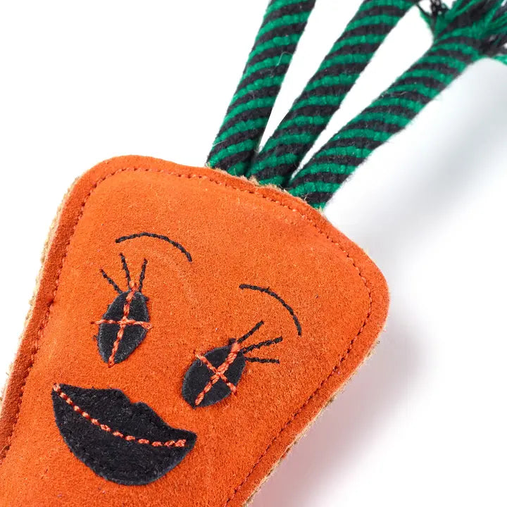 Green & Wilds Candice the Carrot Eco Friendly Dog Toy