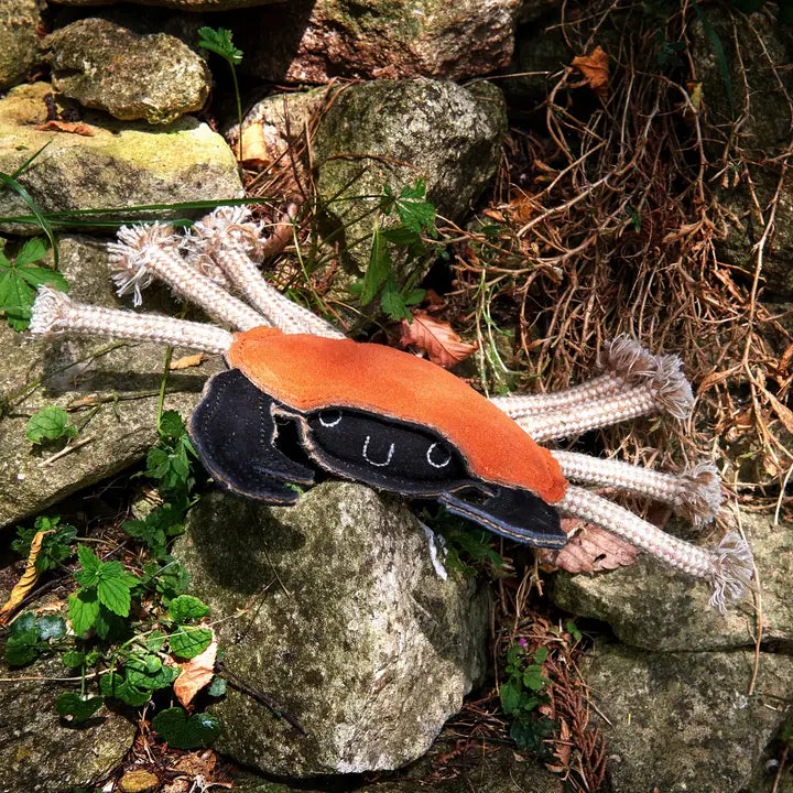 Green & Wilds Carlos the Crab eco friendly dog toy