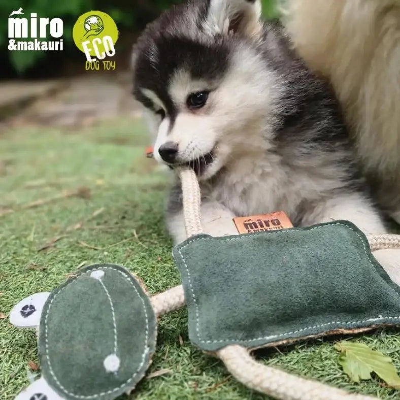 Miro & Makauri Freddie The Frog- Eco Leather Dog Toy