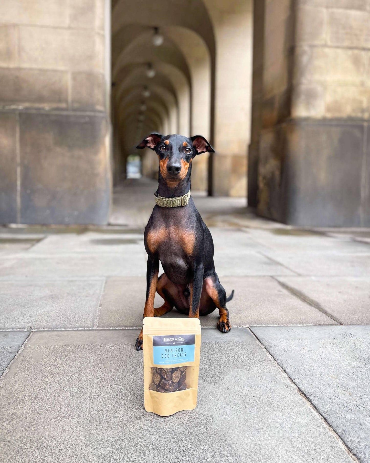 Hugo & Co Venison Healthy Dog Treats