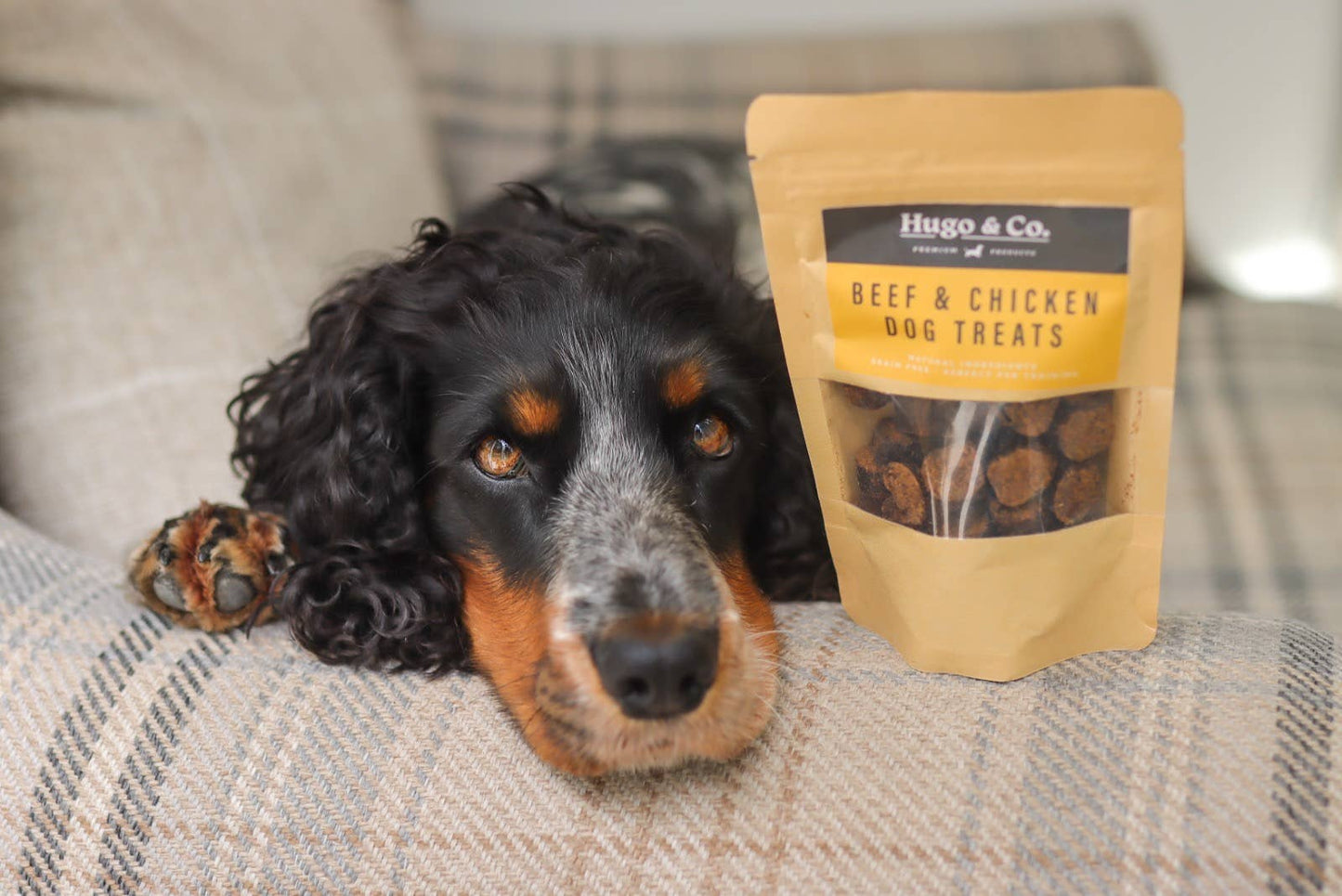 Hugo & Co Beef & Chicken Natural Dog Treats