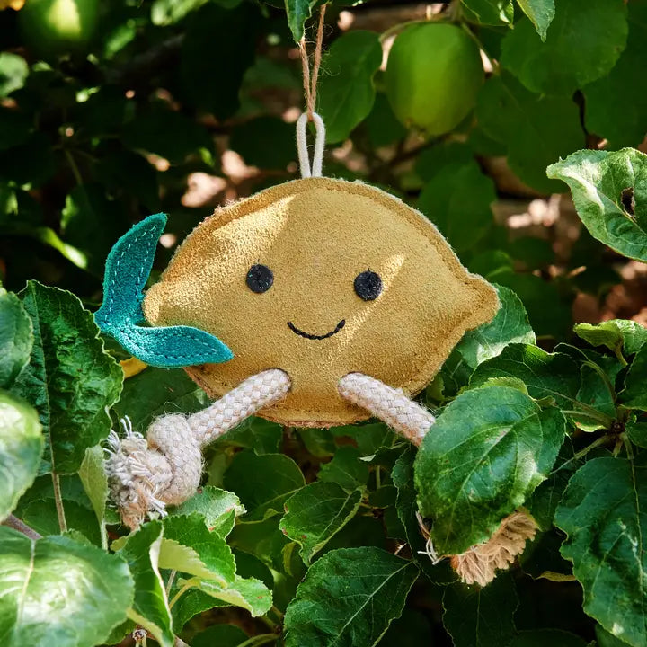 Green & Wilds Libby the Lemon Eco Friendly Cat Toy