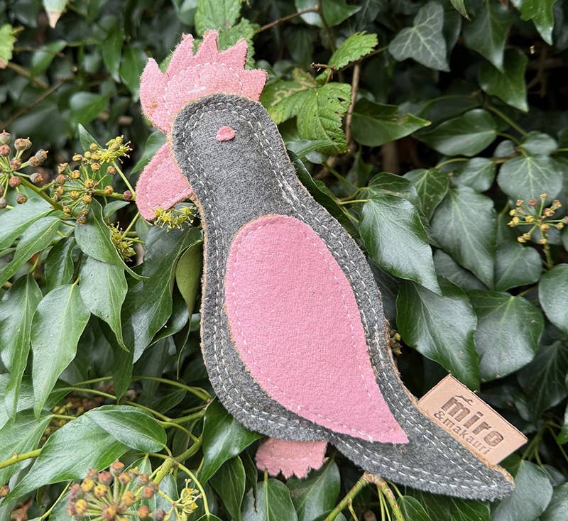 perry parrot in a bush