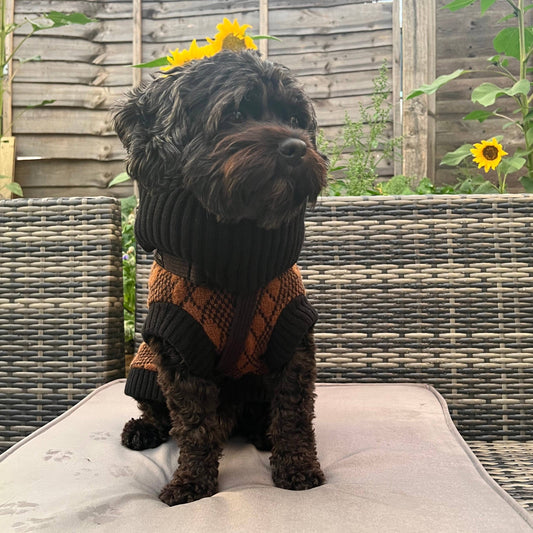 Wag & Wool Lucy Dog Jumper in Black & Brown
