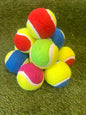 Tennis Ball Dog Toy