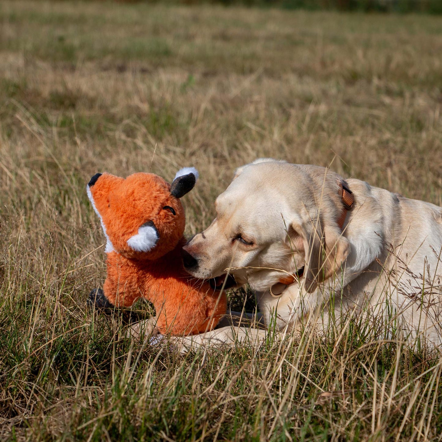 Ancol Heritage Felicity Fox Dog Toy