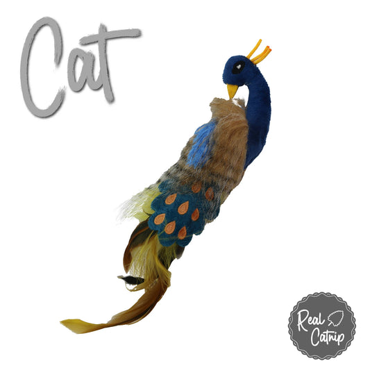 Peacock cat toy with catnio