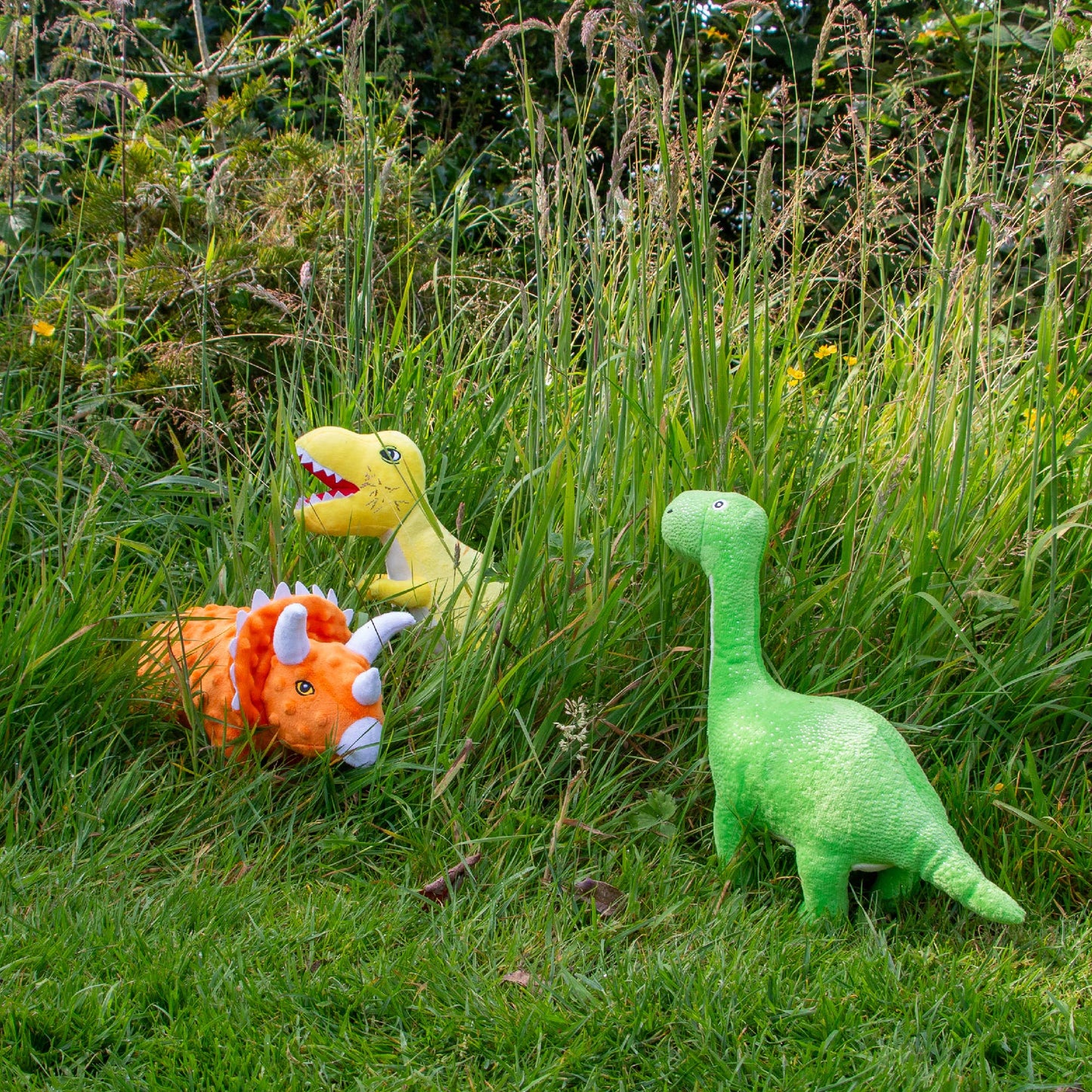 Ancol Dinosaur Dog Toys Outside In Grass