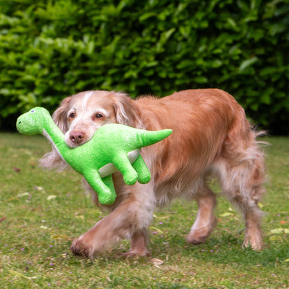 Ancol Diplodocus Dog Toy With Dog