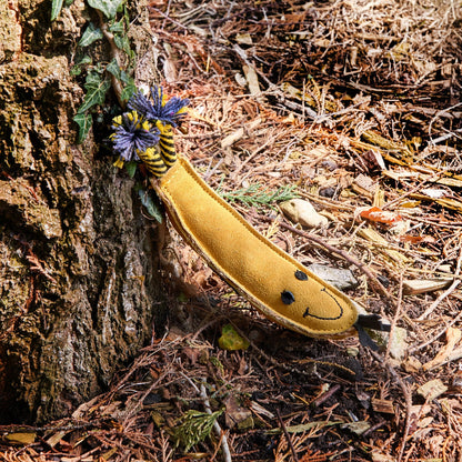 Green and Wilds Barry the Banana Eco Friendly Dog Toy