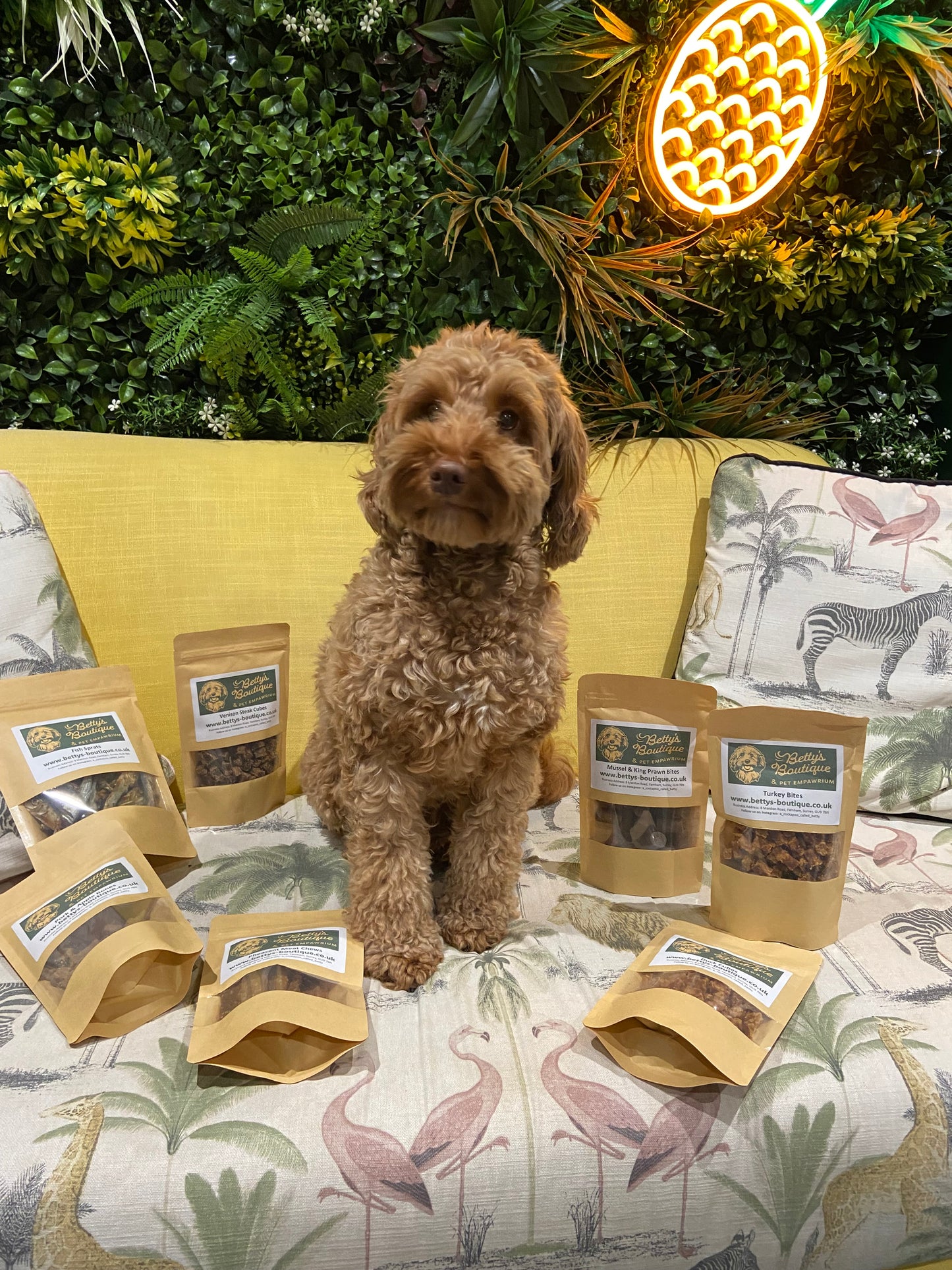 Betty Surrounded by treats