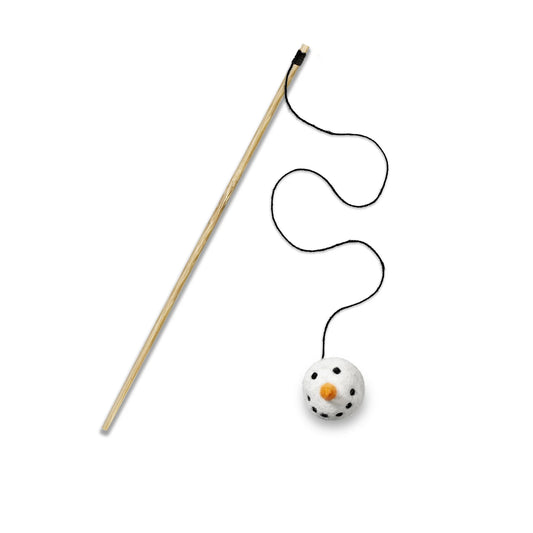 Cat toy with a long stick and a small ball with a face on a white background