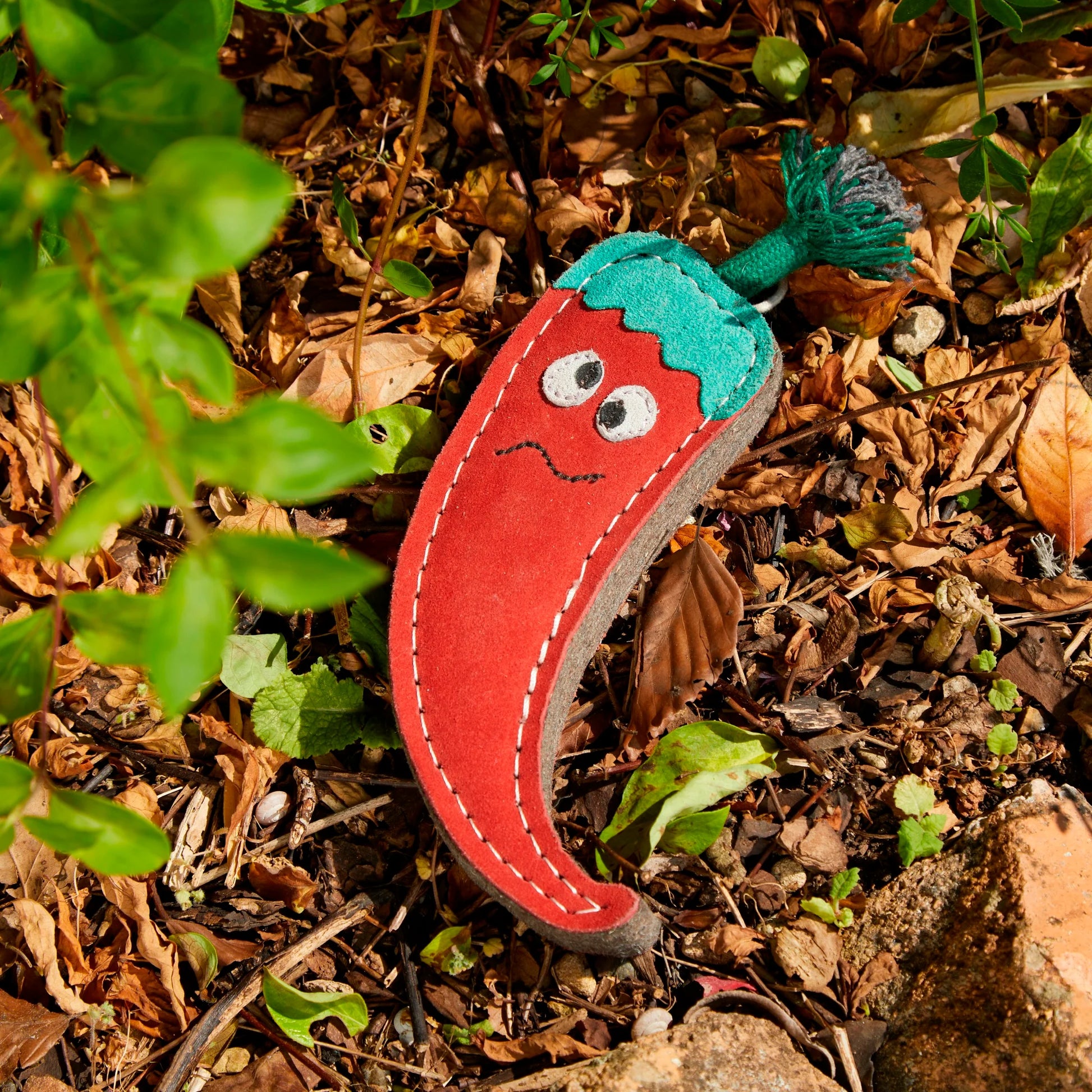chad the chilli outdoors