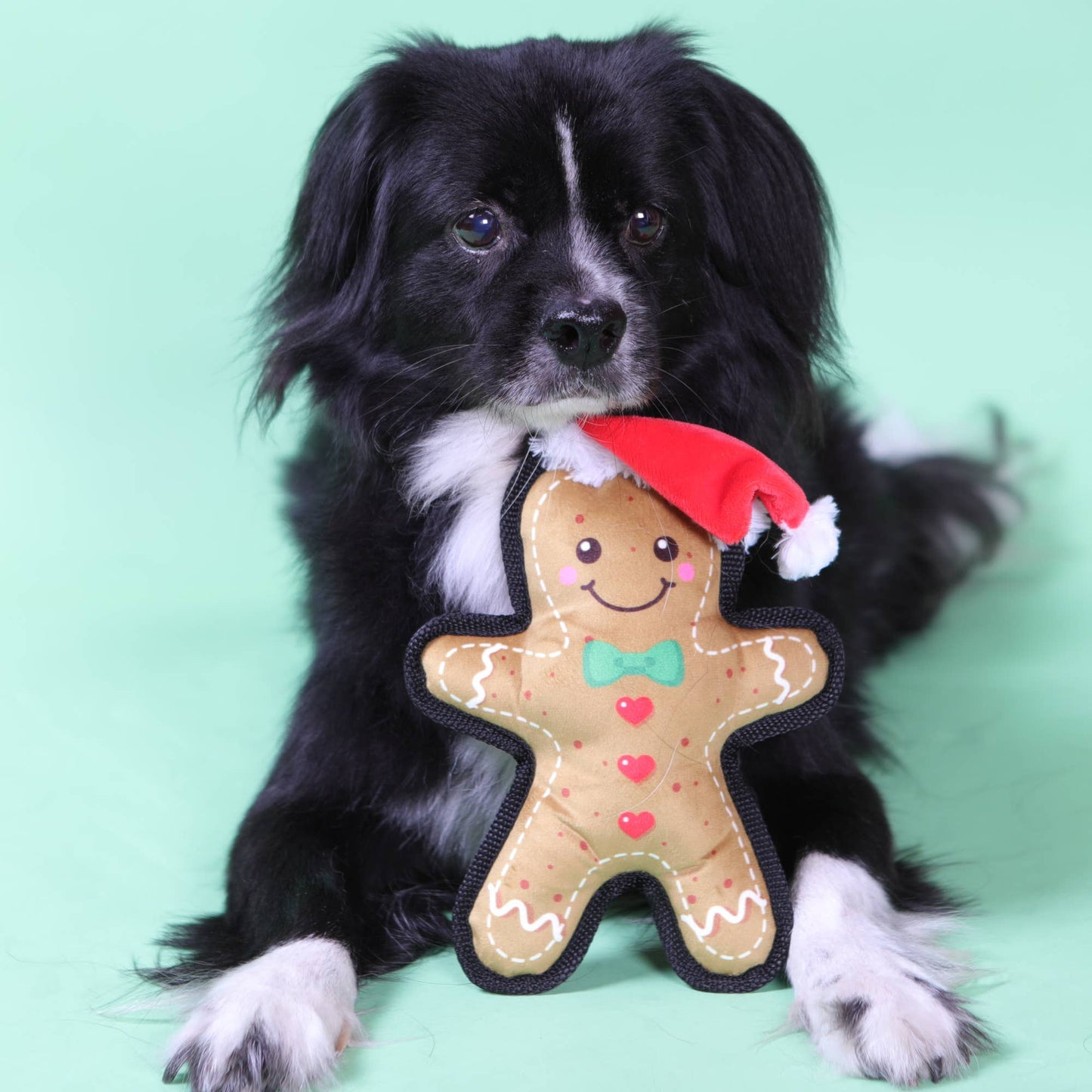 Pet London Gingerbread Man Christmas Dog Toy