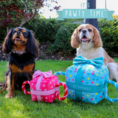 Dogs with birthday squeaky dog toy