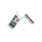 British Deer Antler Dog Chew
