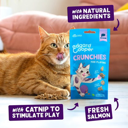 Edgard and cooper salmon crunchies cat treat