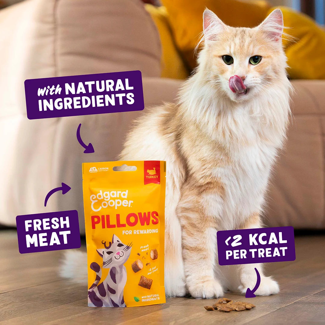 Edgard and cooper turkley pillows cat treats