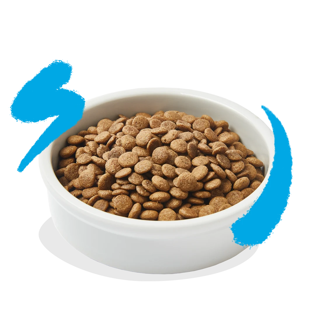 Edgard & Cooper healthy salmon kibble for cats