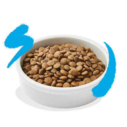 Edgard & Cooper healthy salmon kibble for cats