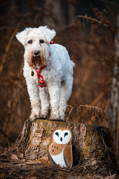 dog with a suede owl dog toy