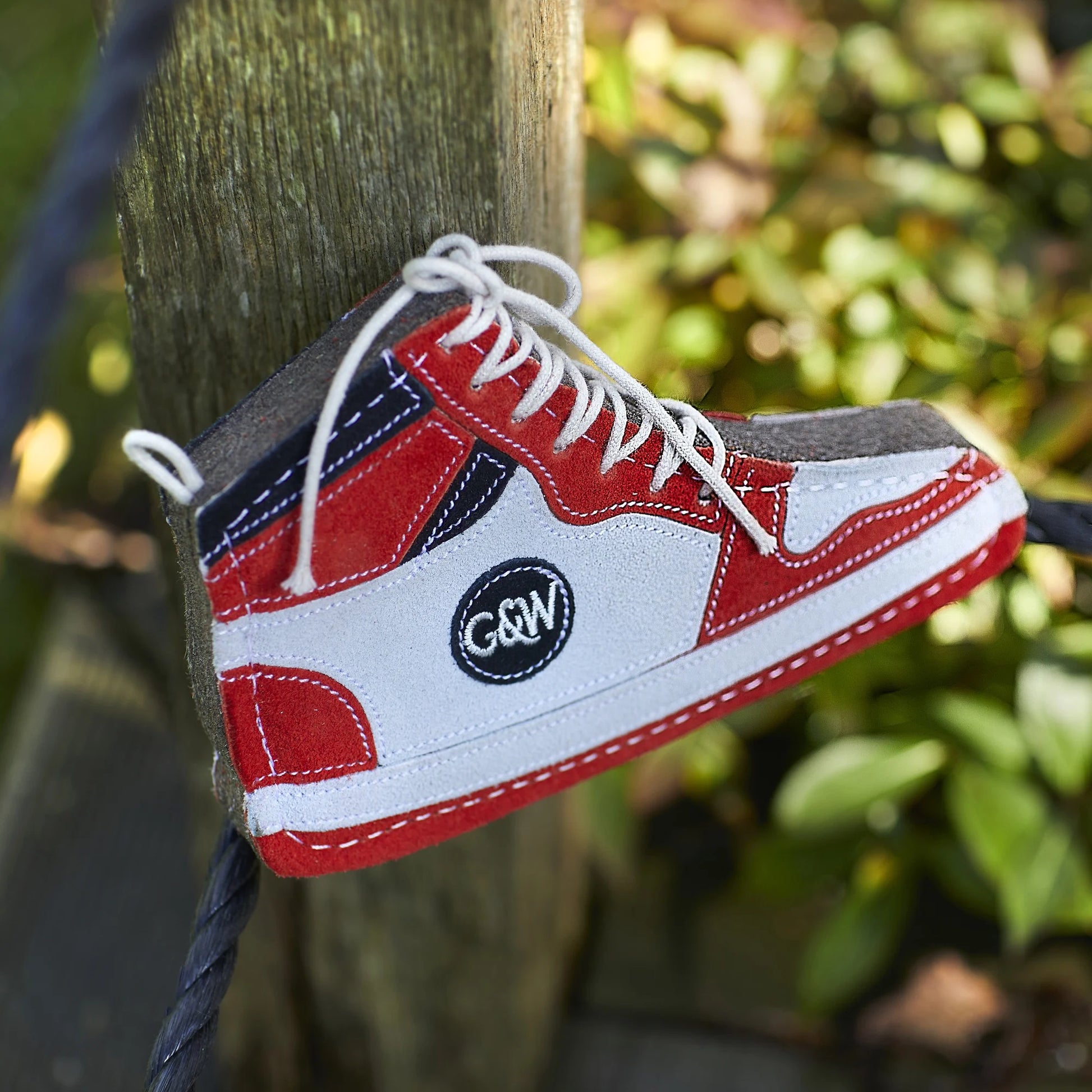 Red, white, and blue sneaker with a visible brand logo hanging on a tree branch.