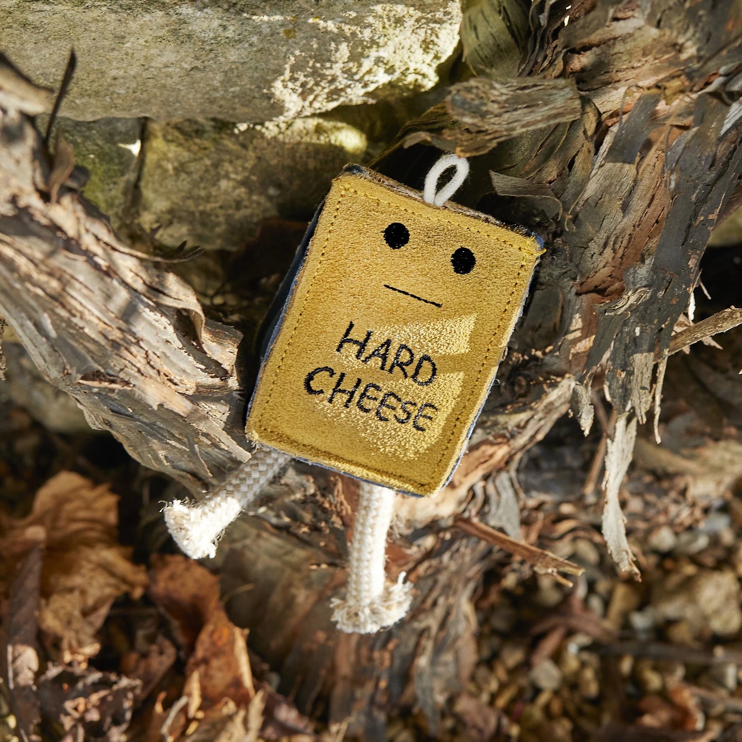 Small decorative sign shaped like a block of cheese with a face, hanging among dry leaves and branches.