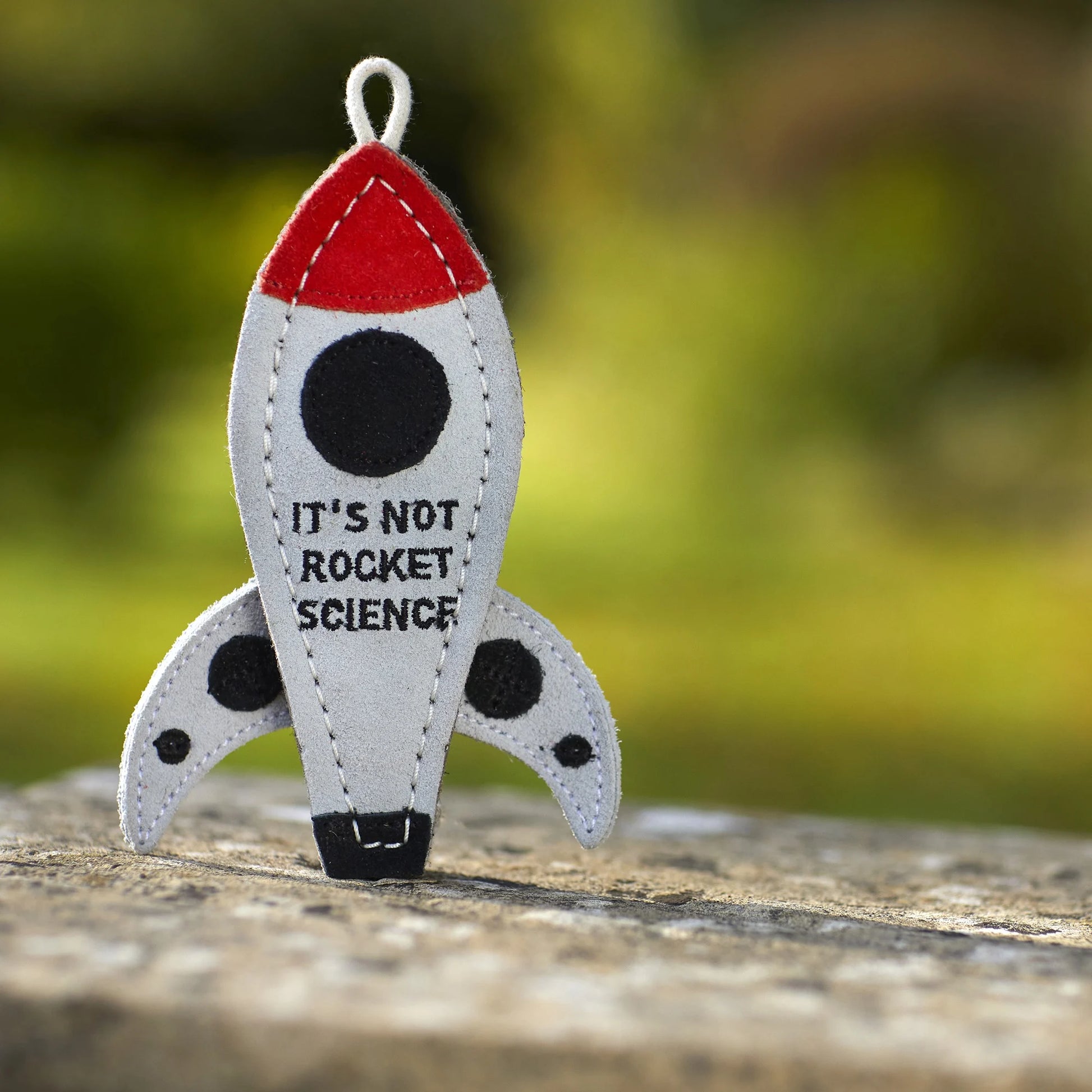 Fabric rocket-shaped ornament with 'It's Not Rocket Science' text on a blurred natural background