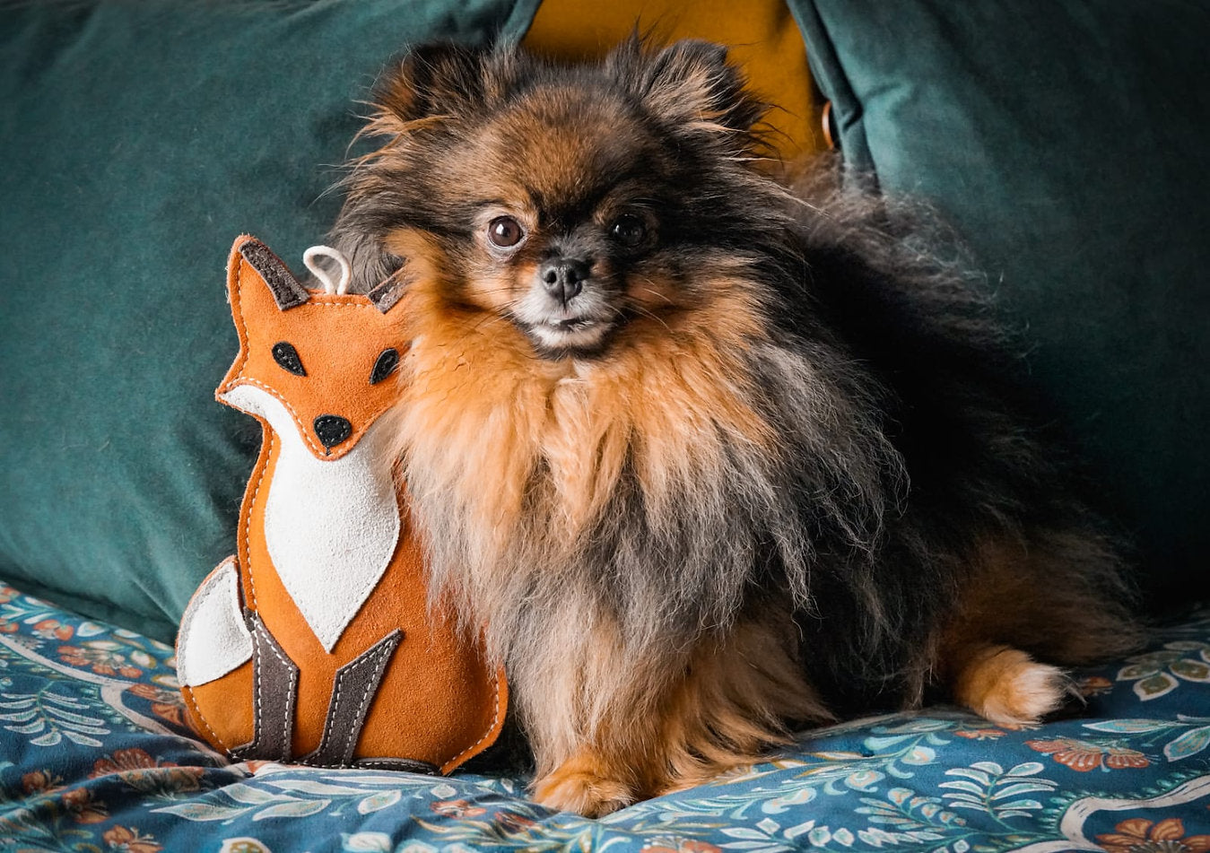 Small dog sitting next to a fox-shaped toy on a patterned blanket